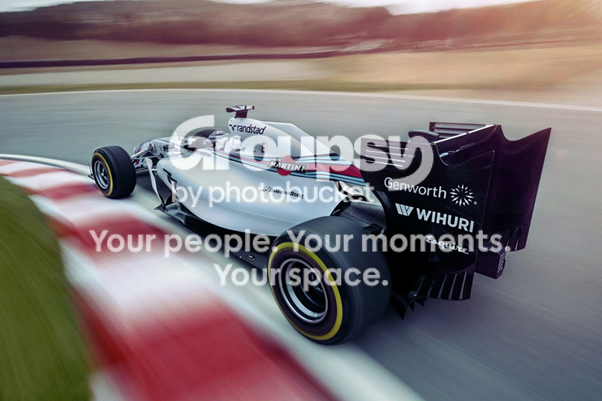  photo williamsfw36.png